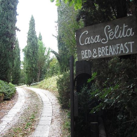 B&B Casaselita Orvieto Bagian luar foto