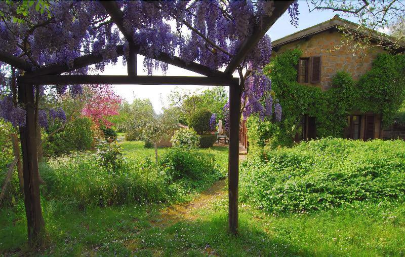 B&B Casaselita Orvieto Bagian luar foto
